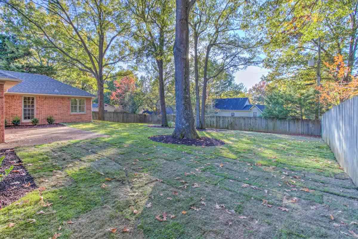 293 Summerfield Ln, Memphis, TN 38018